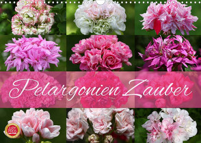 Pelargonien Zauber (Wandkalender 2022 DIN A3 quer) von Cross,  Martina