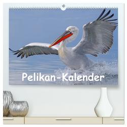 Pelikan-Kalender (hochwertiger Premium Wandkalender 2024 DIN A2 quer), Kunstdruck in Hochglanz von Wolf,  Gerald