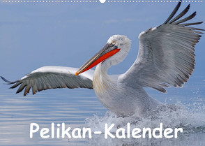 Pelikan-Kalender (Wandkalender 2022 DIN A2 quer) von Wolf,  Gerald