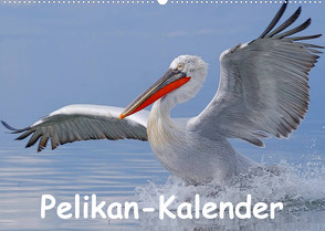 Pelikan-Kalender (Wandkalender 2023 DIN A2 quer) von Wolf,  Gerald