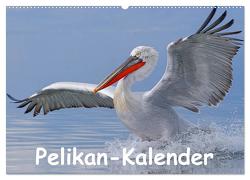 Pelikan-Kalender (Wandkalender 2024 DIN A2 quer), CALVENDO Monatskalender von Wolf,  Gerald