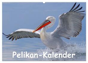 Pelikan-Kalender (Wandkalender 2024 DIN A2 quer), CALVENDO Monatskalender von Wolf,  Gerald