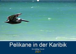 Pelikane in der Karibik – Die vielfältige Tierwelt (Wandkalender 2021 DIN A2 quer) von Hornecker -www.fotosdelmundo.de, - Frank