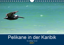 Pelikane in der Karibik – Die vielfältige Tierwelt (Wandkalender 2021 DIN A4 quer) von Hornecker -www.fotosdelmundo.de, - Frank