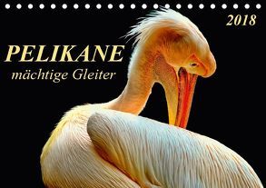 Pelikane – mächtige Gleiter (Tischkalender 2018 DIN A5 quer) von Roder,  Peter