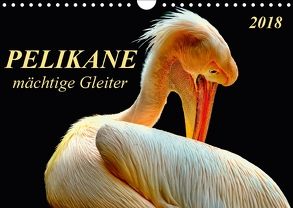 Pelikane – mächtige Gleiter (Wandkalender 2018 DIN A4 quer) von Roder,  Peter