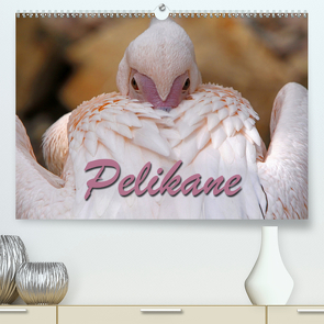 Pelikane (Premium, hochwertiger DIN A2 Wandkalender 2020, Kunstdruck in Hochglanz) von Berg,  Martina