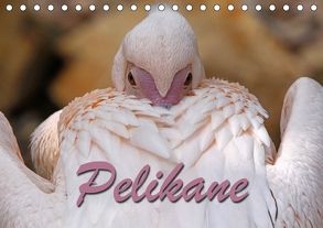Pelikane (Tischkalender 2018 DIN A5 quer) von Berg,  Martina