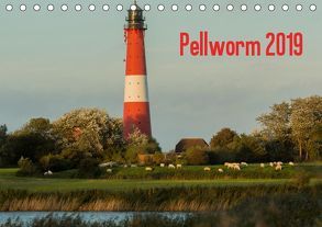 Pellworm 2019 (Tischkalender 2019 DIN A5 quer) von photo impressions,  D.E.T.