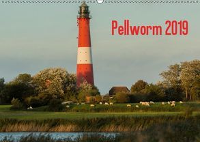 Pellworm 2019 (Wandkalender 2019 DIN A2 quer) von photo impressions,  D.E.T.