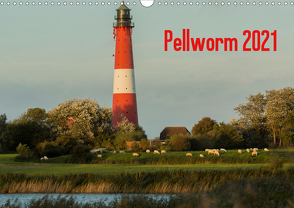 Pellworm 2021 (Wandkalender 2021 DIN A3 quer) von photo impressions,  D.E.T.