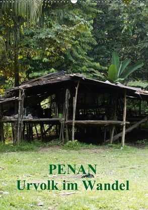 Penan-Urvolk im Wandel (Wandkalender 2019 DIN A2 hoch) von Iffert,  Sandro