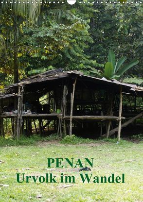 Penan-Urvolk im Wandel (Wandkalender 2019 DIN A3 hoch) von Iffert,  Sandro