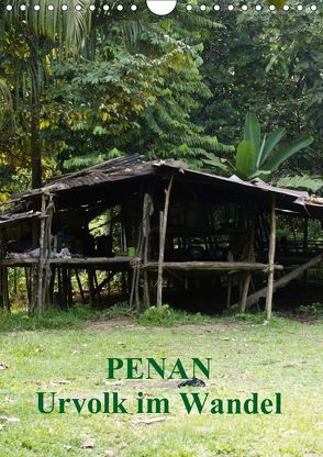 Penan-Urvolk im Wandel (Wandkalender 2019 DIN A4 hoch) von Iffert,  Sandro