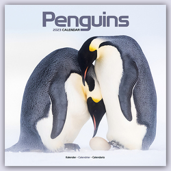 Penguins – Pinguine 2023 – 16-Monatskalender