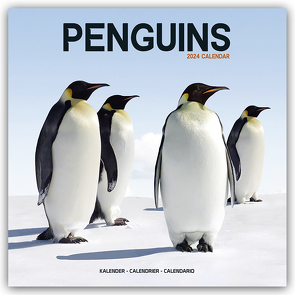 Penguins – Pinguine 2024 – 16-Monatskalender