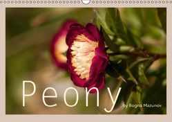 Peony (Wandkalender immerwährend DIN A3 quer) von Mazunov,  Bogna