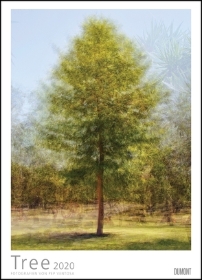 Pep Ventosa: Tree 2020 – In the round – Bäume-Kalender – Foto-Kunst – Poster-Format von DUMONT Kalenderverlag, Ventosa,  Pep