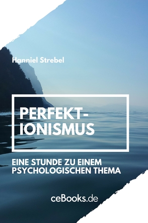 Perfektionismus von Strebel,  Hanniel