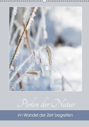 Perlen der Natur im Wandel der Zeit begreifen (Wandkalender 2019 DIN A2 hoch) von Reiter,  Herbert, Strudl,  Martina