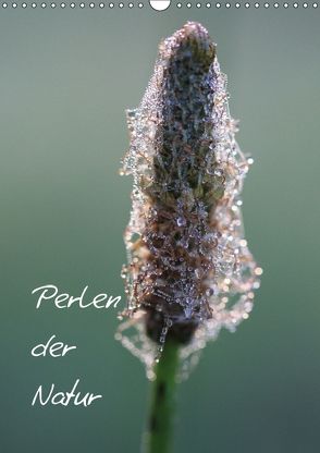 Perlen der Natur (Wandkalender 2018 DIN A3 hoch) von Nitzold-Briele,  Gudrun