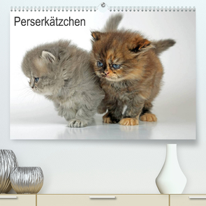 Perserkätzchen (Premium, hochwertiger DIN A2 Wandkalender 2022, Kunstdruck in Hochglanz) von Eppele,  Klaus