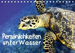 Persönlichkeiten unter Wasser (Tischkalender 2019 DIN A5 quer) von Hess,  Andrea