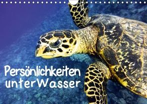 Persönlichkeiten unter Wasser (Wandkalender 2018 DIN A4 quer) von Hess,  Andrea