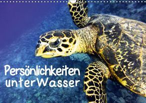 Persönlichkeiten unter Wasser (Wandkalender 2019 DIN A3 quer) von Hess,  Andrea