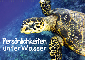 Persönlichkeiten unter Wasser (Wandkalender 2020 DIN A3 quer) von Hess,  Andrea