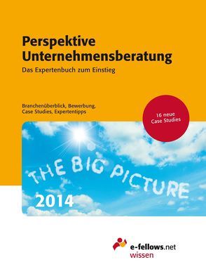Perspektive Unternehmensberatung 2014 von Hies,  Michael, Lippl,  Christian
