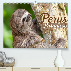 Perus Paradiese (Premium, hochwertiger DIN A2 Wandkalender 2022, Kunstdruck in Hochglanz) von CALVENDO