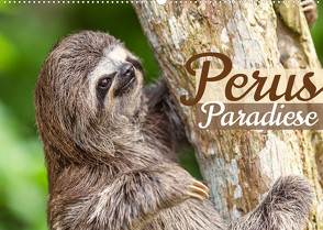 Perus Paradiese (Wandkalender 2022 DIN A2 quer) von CALVENDO