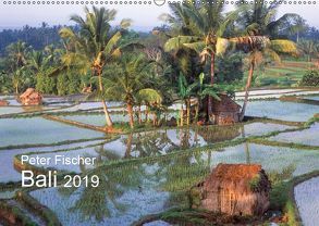 Peter Fischer – Bali 2019 (Wandkalender 2019 DIN A2 quer) von Fischer,  Peter
