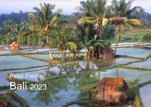 Peter Fischer – Bali 2023 (Wandkalender 2023 DIN A2 quer) von Fischer,  Peter