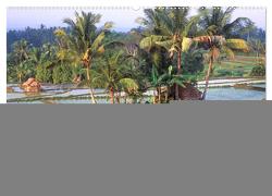 Peter Fischer – Bali 2024 (Wandkalender 2024 DIN A2 quer), CALVENDO Monatskalender von Fischer,  Peter