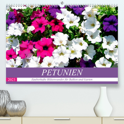 Petunien. Zauberhafte Blütenwunder für Balkon und Garten (Premium, hochwertiger DIN A2 Wandkalender 2023, Kunstdruck in Hochglanz) von Hurley,  Rose
