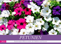Petunien. Zauberhafte Blütenwunder für Balkon und Garten (Wandkalender 2023 DIN A2 quer) von Hurley,  Rose