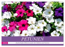 Petunien. Zauberhafte Blütenwunder für Balkon und Garten (Wandkalender 2024 DIN A2 quer), CALVENDO Monatskalender von Hurley,  Rose
