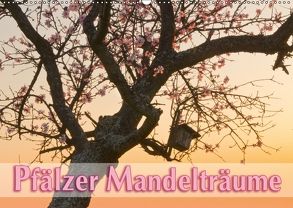 Pfälzer Mandelträume (Wandkalender 2018 DIN A2 quer) von Lidschlag