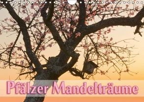 Pfälzer Mandelträume (Wandkalender 2019 DIN A4 quer) von Lidschlag