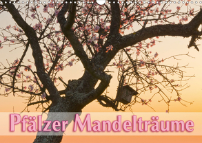 Pfälzer Mandelträume (Wandkalender 2020 DIN A3 quer) von Lidschlag