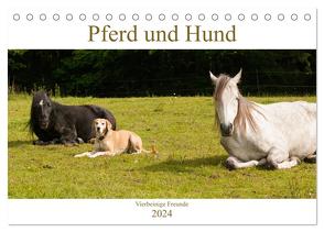 Pferd und Hund – Vierbeinige Freunde (Tischkalender 2024 DIN A5 quer), CALVENDO Monatskalender von Bölts,  Meike