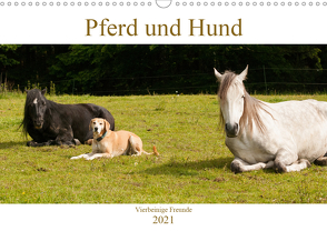 Pferd und Hund – Vierbeinige Freunde (Wandkalender 2021 DIN A3 quer) von Bölts,  Meike