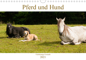 Pferd und Hund – Vierbeinige Freunde (Wandkalender 2021 DIN A4 quer) von Bölts,  Meike