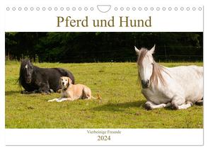 Pferd und Hund – Vierbeinige Freunde (Wandkalender 2024 DIN A4 quer), CALVENDO Monatskalender von Bölts,  Meike