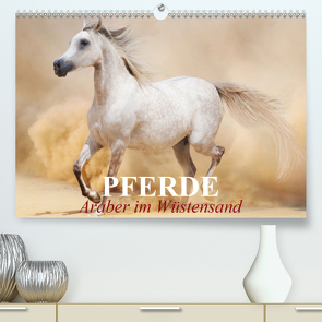Pferde • Araber im Wüstensand (Premium, hochwertiger DIN A2 Wandkalender 2020, Kunstdruck in Hochglanz) von Stanzer,  Elisabeth