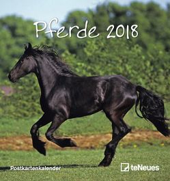 Pferde 2018