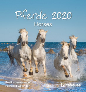 Pferde 2020