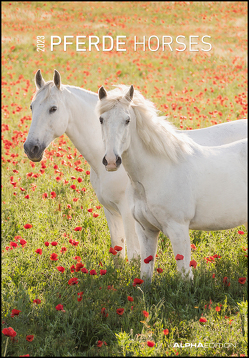 Pferde 2023 – Bildkalender 23,7×34 cm – Kalender mit Platz für Notizen – mit vielen Zusatzinformationen – Horses – Wandkalender – Alpha Edition